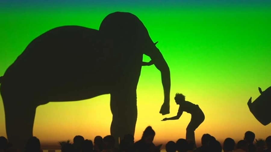 Samsung IFA Consumer Electronics Gala Dinner Elephant and human shadow figures